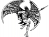 kap9_Rassen_Haklaton