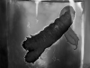 Dunkle-Volk-small