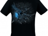 Flying Raven